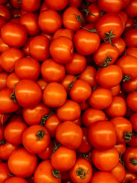 Arkaplan Gibi Yemek Için Bir Sürü Olgun Lezzetli Domates — Stok fotoğraf