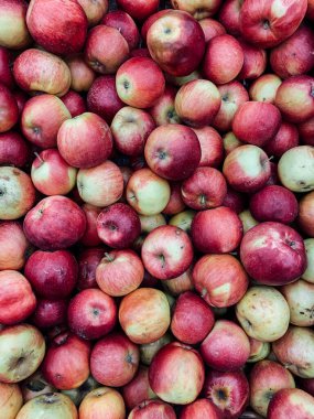 Arkaplan gibi yemek için bir sürü olgun elma.