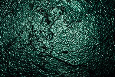 Stüdyo arka planında yeşil desenli duvar dokusu