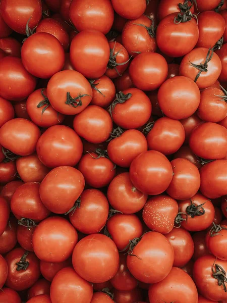 Κόκκινες Ώριμες Ντομάτες Για Φάει Πολλές Βιταμίνες — Φωτογραφία Αρχείου