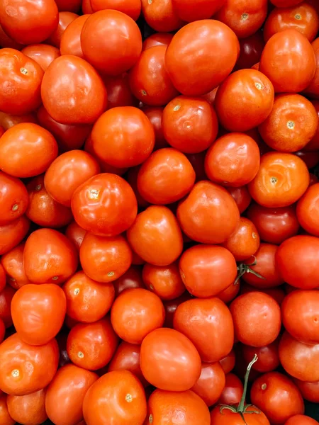 Rote Reife Tomaten Die Viele Vitamine Fressen — Stockfoto