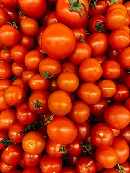 Rote Reife Tomaten Die Viele Vitamine Fressen — Stockfoto