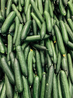 Arka plan gibi sağlıklı yiyecekler için bir sürü olgun yeşil salatalık.