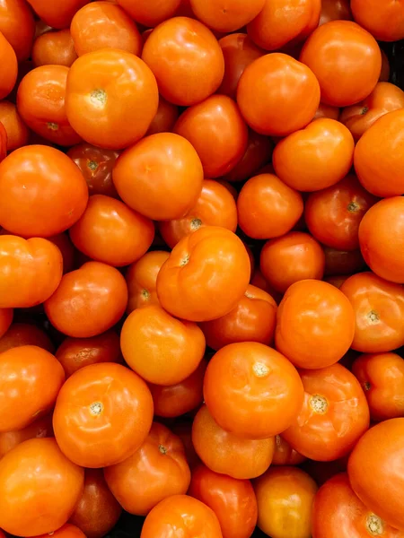 Tomates Vermelhos Maduros Para Comer Monte Vitaminas — Fotografia de Stock