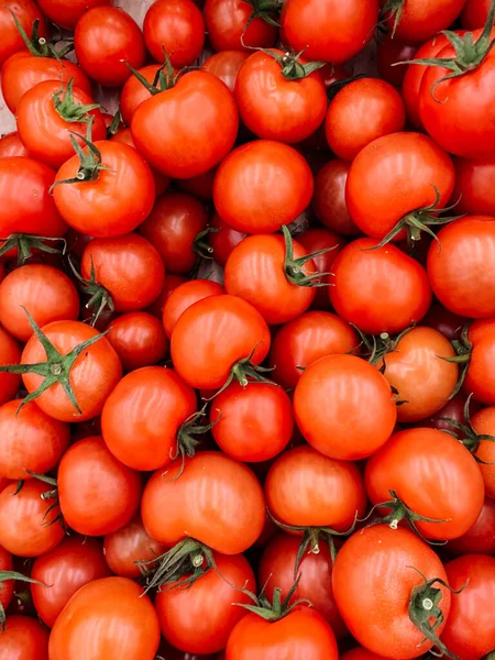 Rote Reife Tomaten Die Viele Vitamine Fressen — Stockfoto