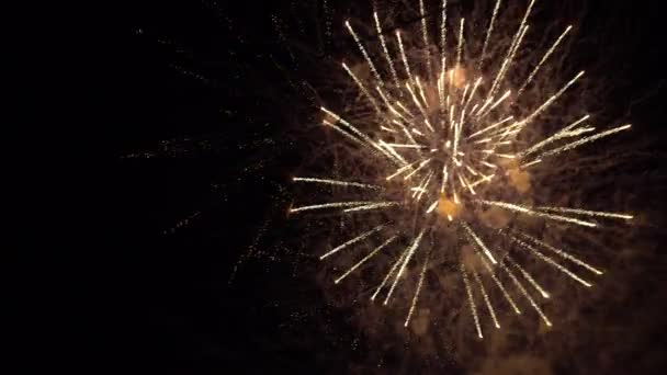 Різнокольорові святкові феєрверки в нічному небі — стокове відео