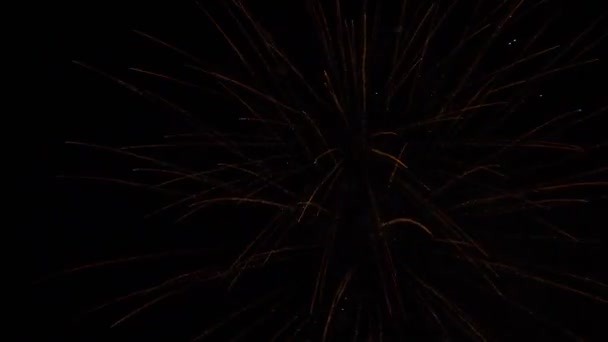 Veelkleurig feestelijk vuurwerk aan de nachtelijke hemel — Stockvideo
