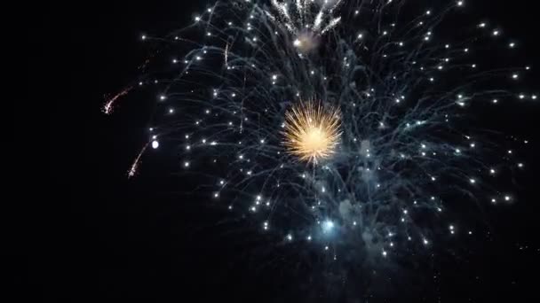 Fogos de artifício festivos multicoloridos no céu noturno — Vídeo de Stock