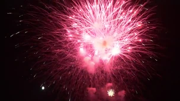 Разноцветный праздничный фейерверк в ночном небе — стоковое видео