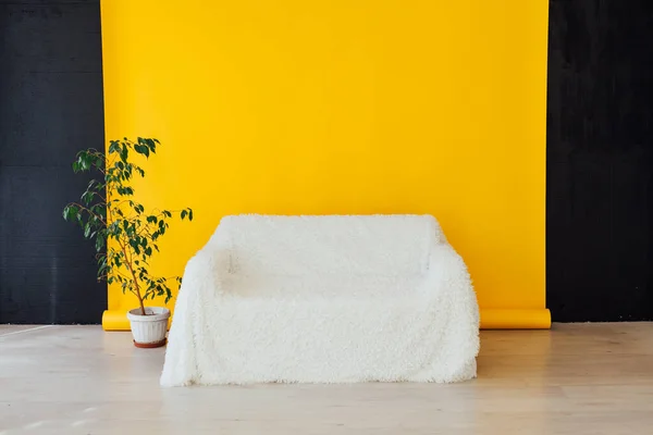 Bílá pohovka se zelenou domácí rostlinou v interiéru se žlutým pozadím — Stock fotografie