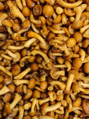 Arka planı yemek için bir sürü donmuş mantar.