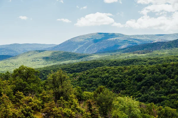 Landscape of beautiful forest nature with fields and blue sky — Stock Photo, Image