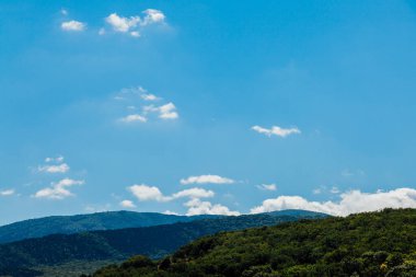 Güzel orman doğası, tarlaları ve mavi gökyüzü.