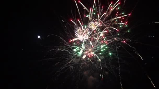 Fuegos artificiales multicolores festivos fuegos artificiales de colores por la noche — Vídeo de stock