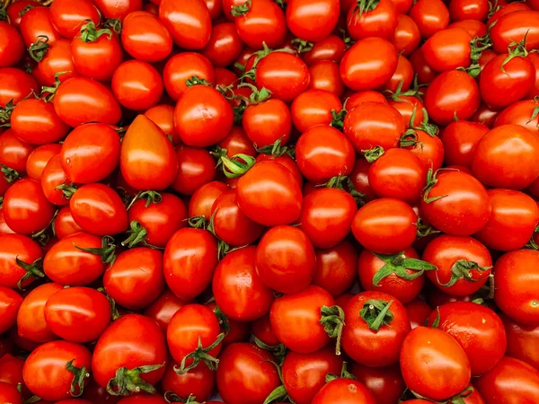 Viele reife rote Tomaten zum Essen wie ein Hintergrund — Stockfoto