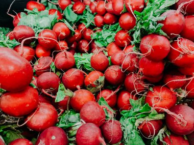 Arkaplan olarak bir sürü olgun kırmızı turp var.