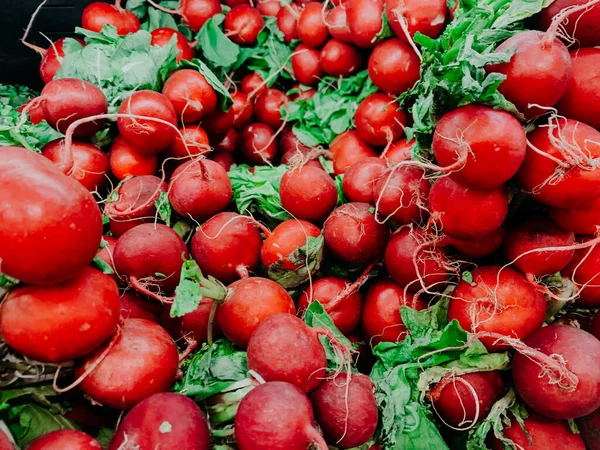 Lots of ripe red radishes for food as background — Stock Photo, Image