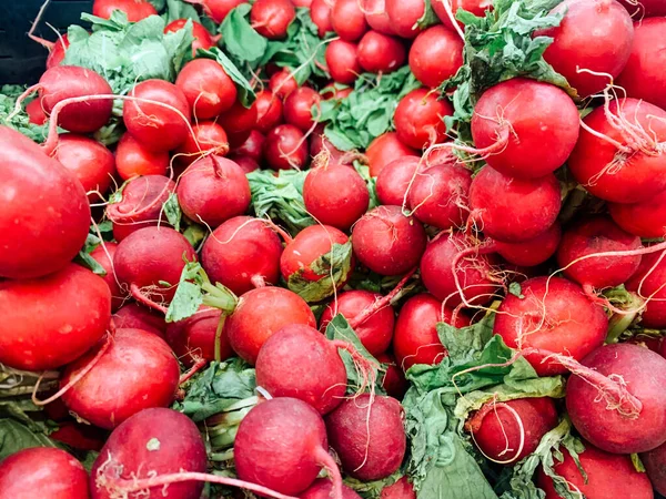 Lots of ripe red radishes for food background — Stock Photo, Image