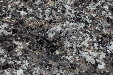 arkaplan olarak eski taşın farklı tonları