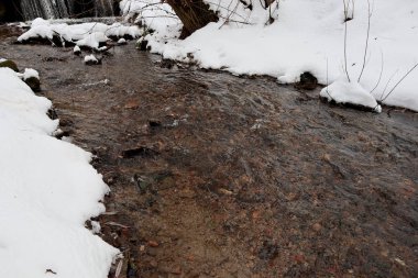 Nehir kıyısındaki buz güneş ışığıyla aydınlanır. Hızlı akış. Nehir ve göllerin kıyısında kış manzarası. Su, kar ve buz: doğada birlikte var olmak. Kış güneşi ışınları. Fırtınalı bir akıntıda gümüş balonlar. Kış bitkileri ve fauna.