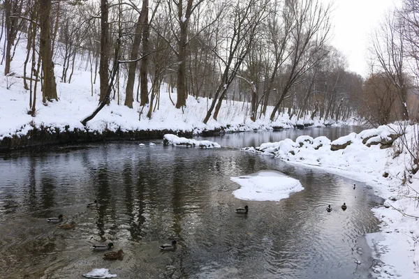 Das Eis Flussufer Wird Von Sonnenlicht Erhellt Schneller Fluss Winterlandschaft — Stockfoto