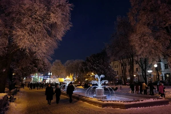 Первый Снег Улицах Парках Улицы Парки Города Покрыты Первым Белым — стоковое фото