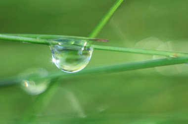  Doğanın bahar renkleri.