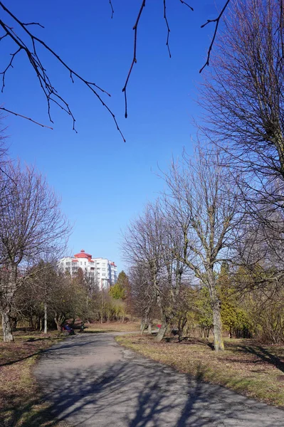 Jarní Modrá Obloha Parcích Ukrajiny Procházka Parku Mezi Spícími Stromy — Stock fotografie