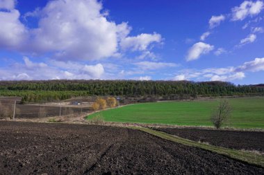 Blask toprağı olan Ukrayna tarlaları. Bahar geldi mavi gökyüzü ve ılık gün ışığıyla. Ukrayna 'nın tarlalarını ekin ekmeye hazırladık. Tarlanın yakınındaki toprak yolda. Ukrayna 'nın tarım endüstrisi. Willow Berezhany.