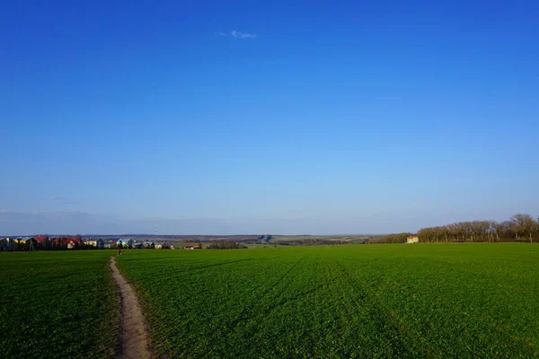 绿泉场后冬季自然恢复 早春的Ternopil风景 绿地蓝天 田野间的小径通往东方乡村 手机和平板电脑弹簧场背景 — 图库照片