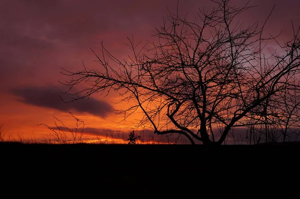 日没後の夜空 ナイトライフだけだ 夜の沈黙の中で西ウクライナの性質 日没の背景に黒檀 電話やタブレット用の夜の空の背景 ベレジャニの風景 — ストック写真