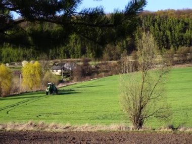 Ukrayna 'nın tarım endüstrisi. Yabani otlara ve böceklere karşı koruma sahaları. Ukrayna kırlarında güneşli bir bahar günü. Mısır gevreğinin besinleri. Ukrayna tarımı.