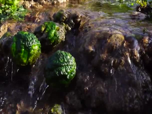 Kaynak Suyu Olan Nehirler Bir Yeraltı Nehrinden Kaynak Suyu Taşların — Stok video