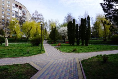  Bahar doğasının arasında parkta yürü. Bahar ağaçlarının altında dinlenmek için banklar. Parkta güneşli bir bahar günü. Şehre park et. Bahar ağaçları.. 