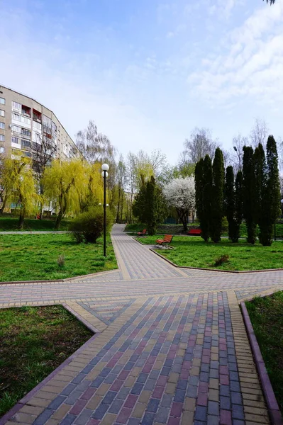 Passeggiata Nel Parco Tra Natura Primaverile Panche Riposo Sotto Alberi — Foto Stock