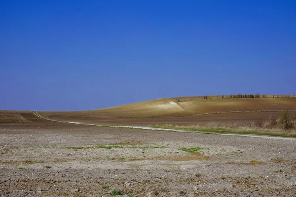 Dry road in a dry field. Road to the horizon. Road in field on blue sky background. Landscapes of the dry spring region. Field in anticipation of generous rain.