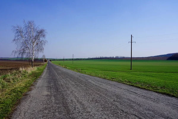 Caminho Para Além Horizonte Paisagens Região Primavera Seca Linha Alta — Fotografia de Stock