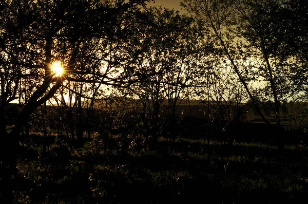 Gece Gökyüzü Arkaplanındaki Qutline Resmi Dolunay Işığında Hem Çeşitli Nesnelerin — Stok fotoğraf