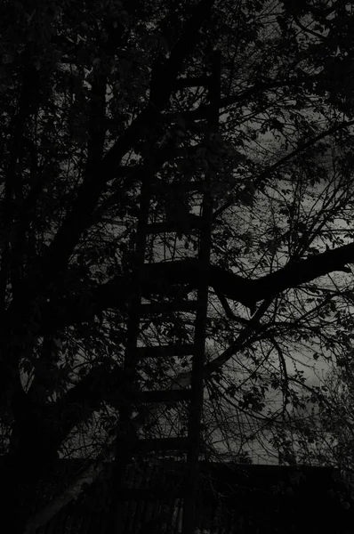 Imagem Qutline Fundo Céu Noturno Luz Uma Lua Cheia Foto — Fotografia de Stock