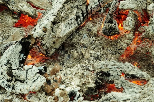 Στοιχείο Φωτιάς Ανάμεσα Στην Πράσινη Φύση Φόντο Υφή Φωτιάς Για — Φωτογραφία Αρχείου