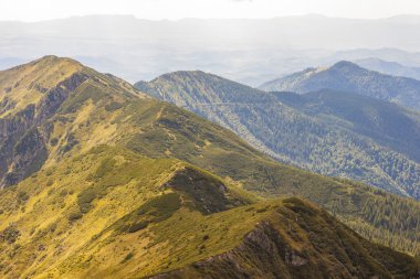 Yaz güneşli bir günde Karpat Dağları Panoraması.