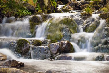 Küçük şelale Park güzel yumuşak su ile. Küçük wat