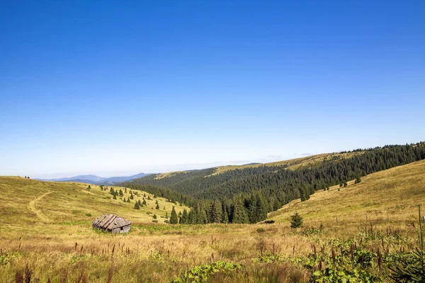 Panorama of Carpathian mountains in summer sunny day. House in m — Stock Photo, Image