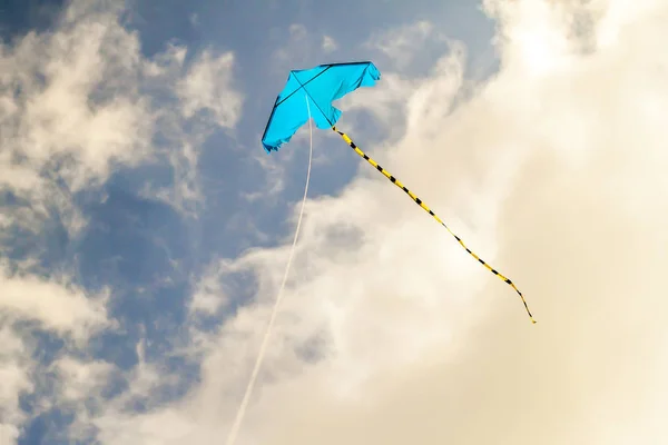 Vlieger vliegt tegen de blauwe lucht op een zonnige dag — Stockfoto