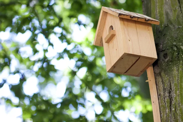 Casa di legno giallo uccello o scatola di nidificazione su un albero nel parco estivo — Foto Stock