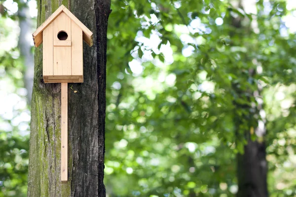 Casa de pássaro amarelo de madeira ou caixa de nidificação em uma árvore no parque de verão — Fotografia de Stock