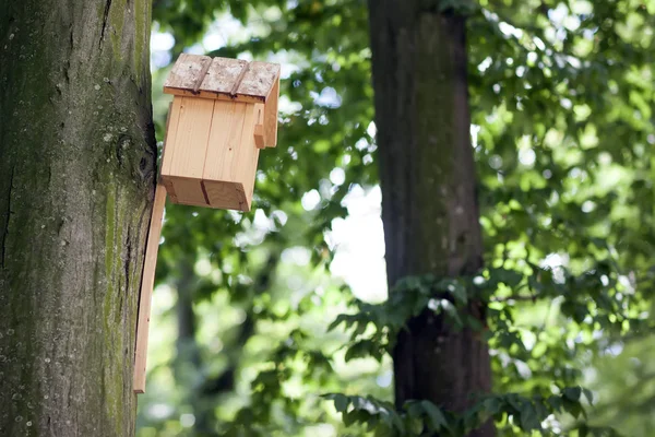 Hölzernes gelbes Vogelhaus oder Nistkasten auf einem Baum im Sommerpark — Stockfoto