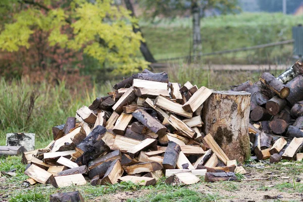 Cut logs fire wood. Renewable resource of energy. Environmental