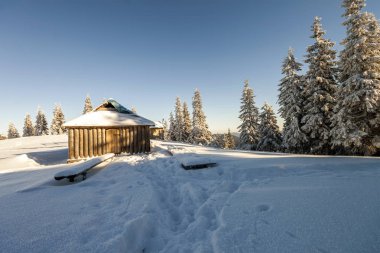 Kış Dağları panoraması Çoban evleriyle. Karpatya