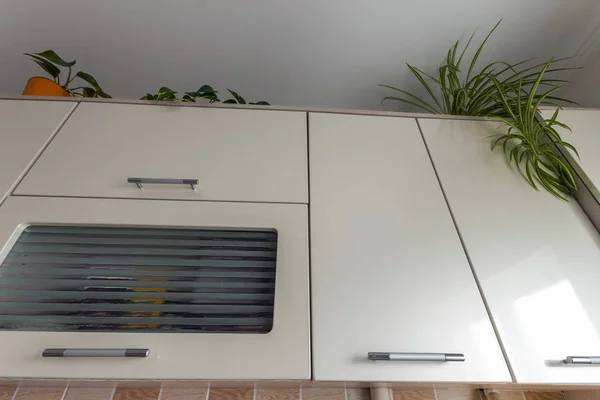 Зеленые домашние растения поверх современного кухонного шкафа — стоковое фото